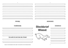 Wiesel-Faltbuch-vierseitig.pdf